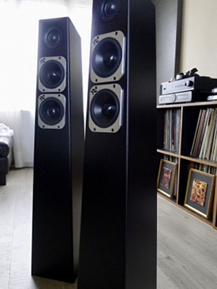 Enceinte TOTEM ACOUSTIC TRIBE TOWER