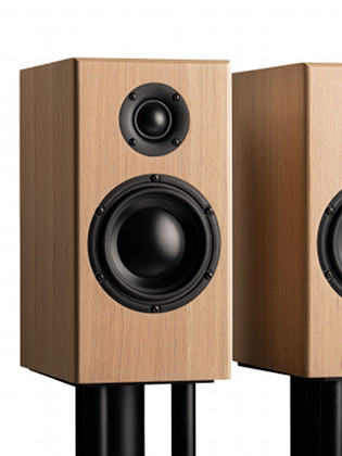 Enceinte TOTEM ACOUSTIC BISON