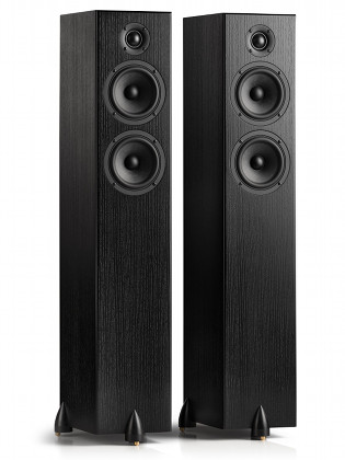 Enceinte TOTEM ACOUSTIC BISON TWIN TOWER